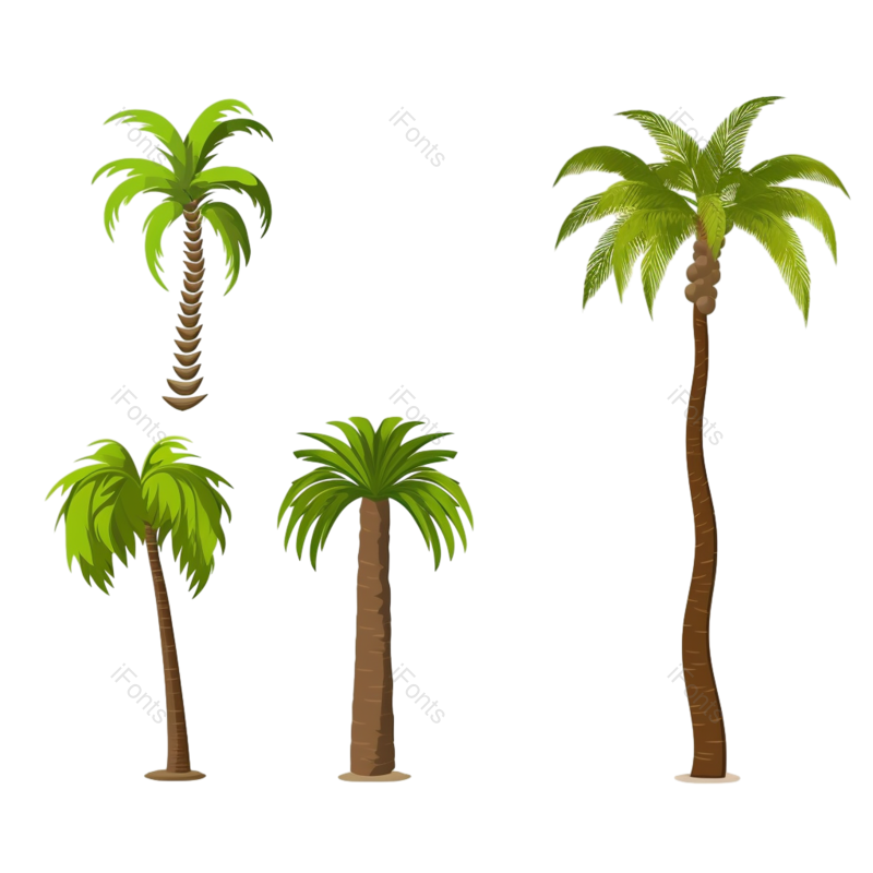 装饰图片,元素元素,夏天PNG,椰子免抠素材